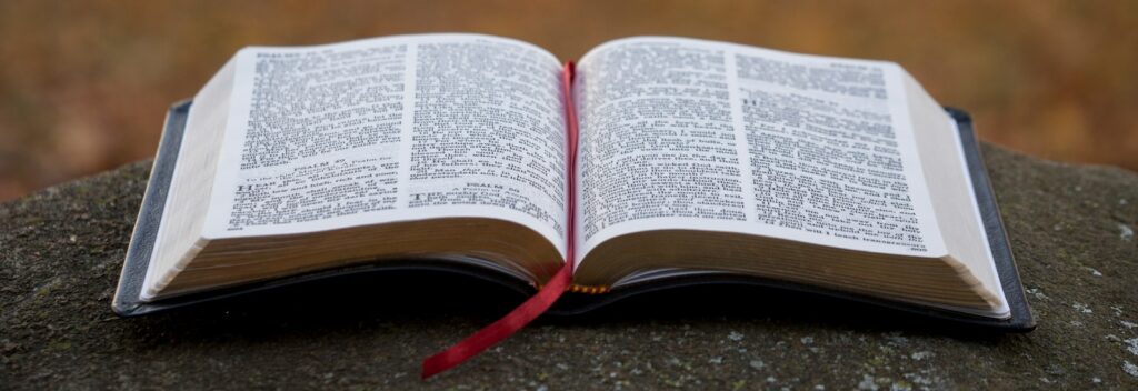 bible page on gray concrete surface